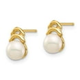 thumbnail image 2 of Finest Gold 14K Madi K 5-6 mm White Button FW Cultured Pearl Post Dangle Earrings, 2 of 3
