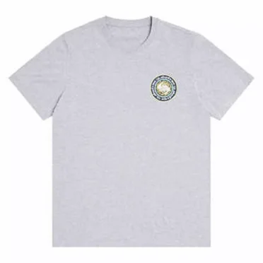 Quiksilver Men's Short Sleeve Graphic Tee T-Shirt (Gray, Large)