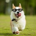 thumbnail image 3 of Lunettes de Soleil pour Petits Chiens - Lunettes de Protection Durables avec Sangle Réglable pour Aventures en Plein Air Idéales pour Petits Chiens et Chiots, 3 of 3
