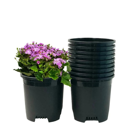 Cotta Planters 3 Gallon Nursery Pots 10-Pack Plastic Planters Greenhouse Supplies Holes for Plant Cage Stakes