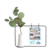 thumbnail image 1 of Revista venas pattern background Jarrones colgantes de vidrio transparente Decoración Botella, 1 of 4