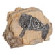 thumbnail image 4 of Adorno de terrario, resina de simulación, acuario, terrario, resina, paisaje de reptiles, cueva de reptiles, paisaje escondido, elaborado con cuidado, 4 of 8