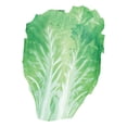 thumbnail image 3 of Disfraz de comida para adultos Sunnimix Unisex Encantador Fiesta temática Verduras, 3 of 7
