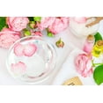 thumbnail image 5 of Poppy & Pout Sweet Mint Un bálsamo labial gigante | Todos los bálsamos labiales y humectantes naturales | Hidrata con cera de abejas, vitamina E, aceite de coco orgánico | Libre de crueldad | Bálsamo, 5 of 5