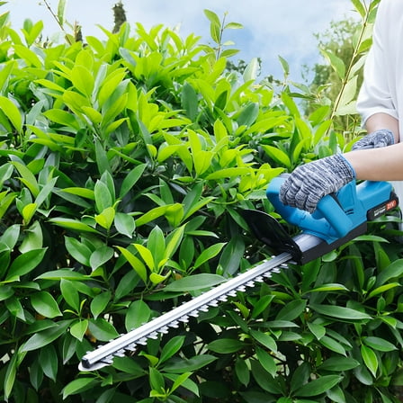 Cordless 20" Electric Hedge Trimmer with 2 Batteries & Charger