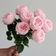 thumbnail image 4 of Rosas artificiales de seda | 10 cabezas por tallo | Tela realista para decoración del hogar, bodas, fiestas y regalos | Blanco, rosa, rojo, rosa fuerte, 4 of 6