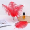 thumbnail image 4 of MesaSe Lot de 20 Plumes d'Autruche Rouge Naturelles 8-10 Pouces pour Décorations DIY Mariage Centre de Table, 4 of 6