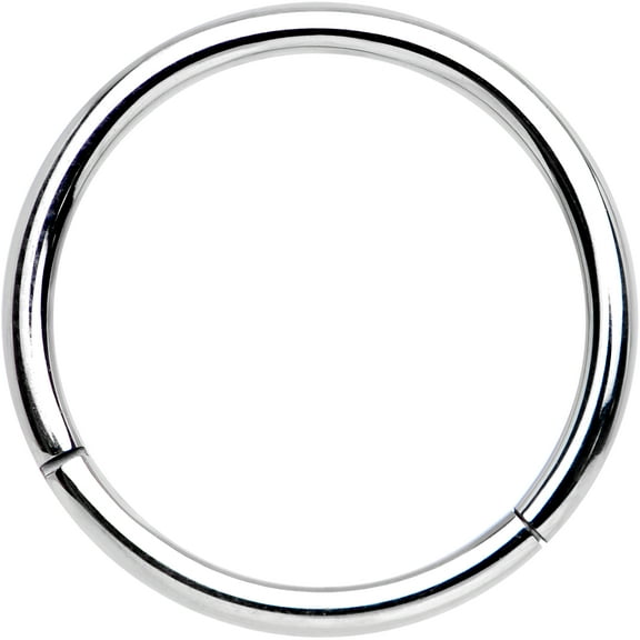 Body Candy Solid G23 Implant Grade Titanium Hinged Segment Ring 16 Gauge 1/2"
