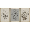 thumbnail image 3 of IDEA4WALL Framed Canvas Print Wall Art Set of 3 Floral Botanical Retro Wildflower Bouquet Vintage Classic Illustrations Fine Art Zen Country/Farmhouse Rustic for Home Decor - Natural 16"x24"x3, 3 of 5