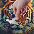 Hotbar Tiger in Jungle Jigsaw Puzzle, 500 Pieces Paper Wood Composite