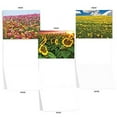 thumbnail image 3 of The Best Card Company - 20 Assorted Blank Plant Cards Boxed (4 x 5.12 Inch) (10 Designs, 2 Each) - Super Blooms AM7175OCB-B2x10, 3 of 9
