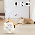 thumbnail image 7 of Yibooy USB Rechargeable Dog Plush Toy Singing Talking Bouncing Jump Ball (Hamster), 7 of 7