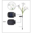 thumbnail image 3 of Floral Outdoor Solar Garden Decorative Lights, Decorative Passage Landscape Lanterns (2 Pack) - Snngv, 3 of 5