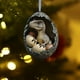 thumbnail image 4 of Xihbxyly Huevos de Granja Navideños, Adornos de Patos y Dinosaurios Bebés, Colgante de Árbol Caprichoso, Celebración de La Vida En La Granja, Idea de Regalo Navideño, Juego de 6 Adornos, 4 of 6