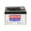 Apc Replacement Battery Rbc6