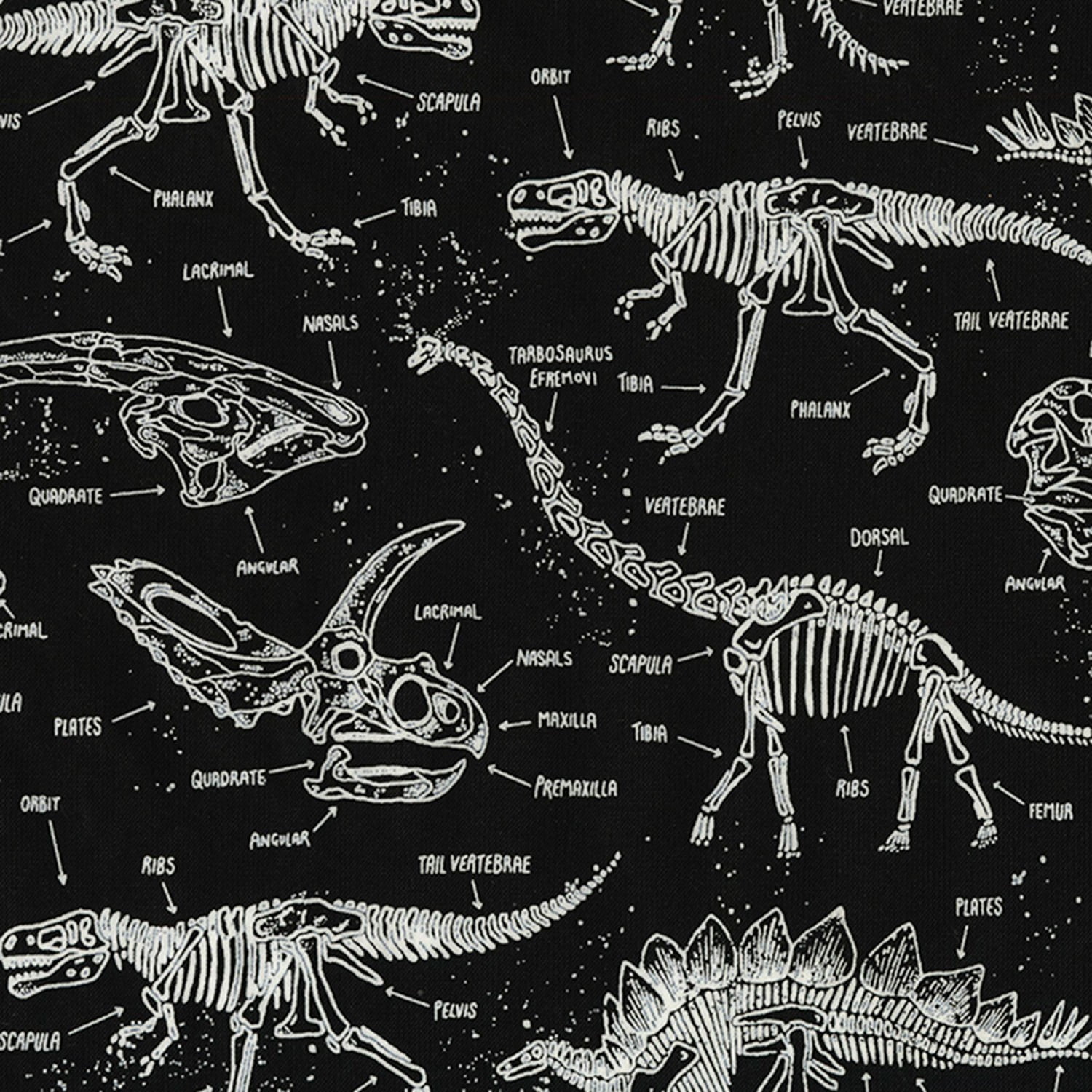 Watercolor Dinosaur Fossil Fabric Panel