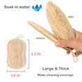 thumbnail image 3 of Natural Loofah Sponge Biodegradable Loofah Dish Sponge Non-Scratch Compostable Dishwashing Loofah Sponge for Kitchen Cleaning, 3 of 8