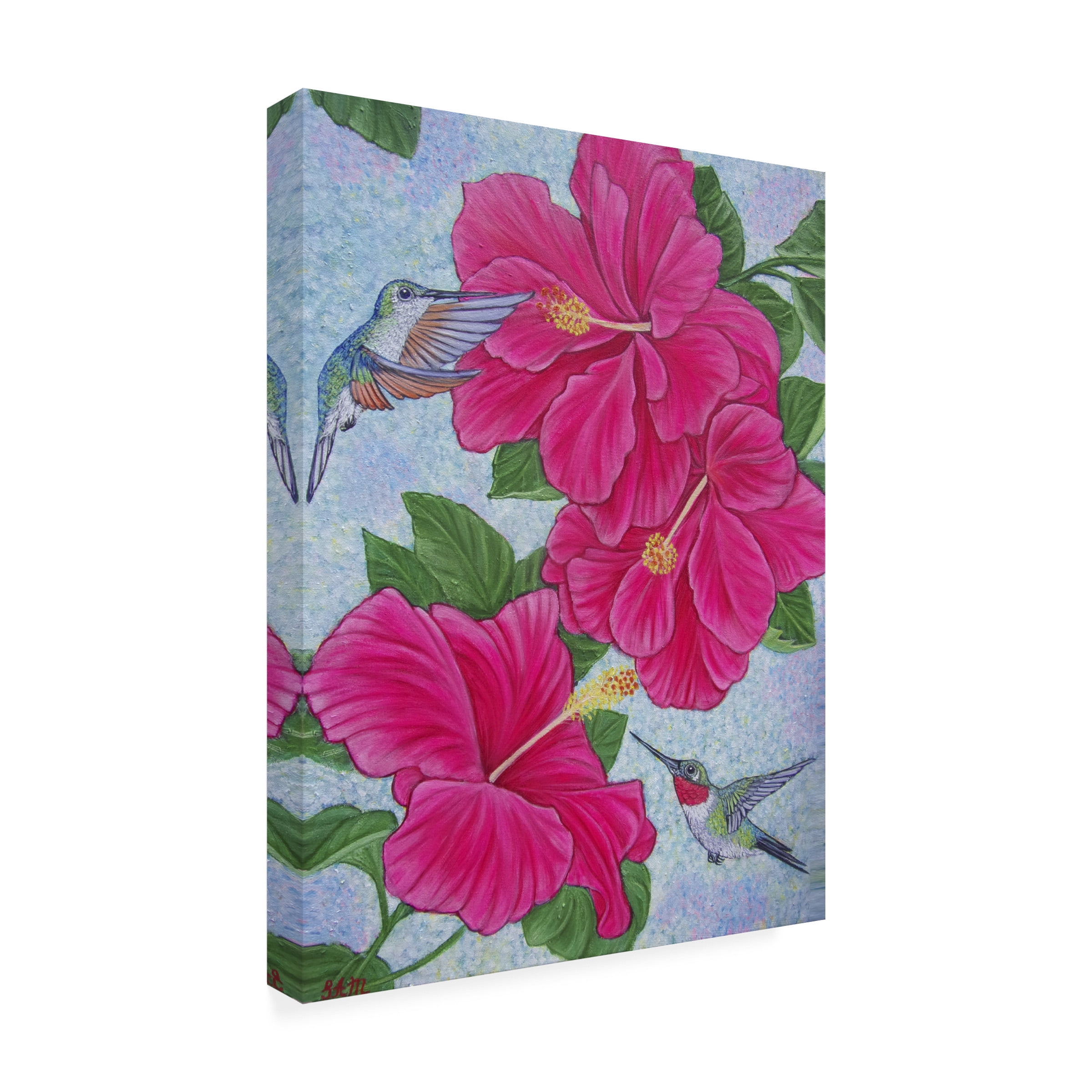 Canvas Wall Art - Sofya Mikeworth 'Hummingbirds and Hibiscus Flowers' Wall Art for Living Room, Bedroom, or Office DÃ©cor by Trademark Fine Art - 14 x 19 Inches