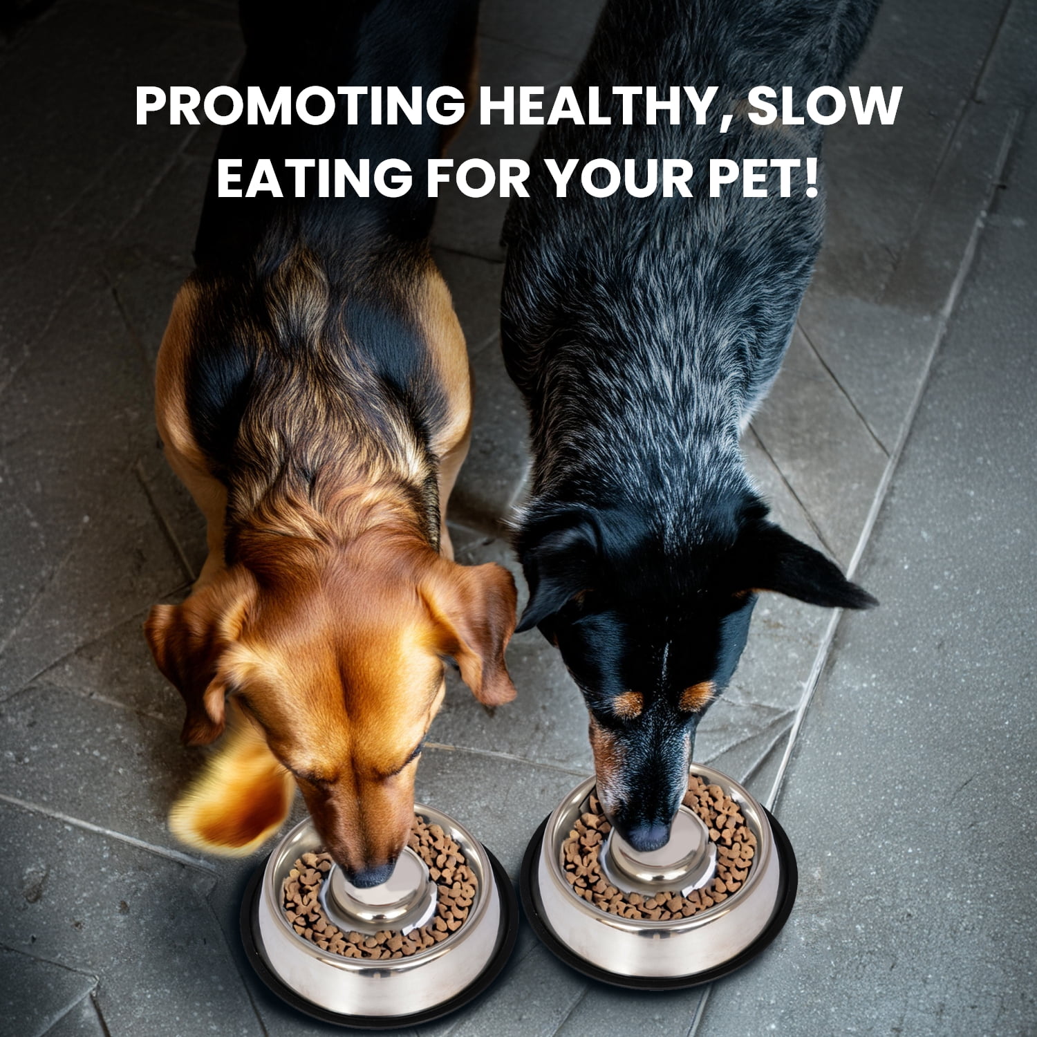 Iconic Pet  Slow Feed Stainless Steel Pet Bowl 6 cup