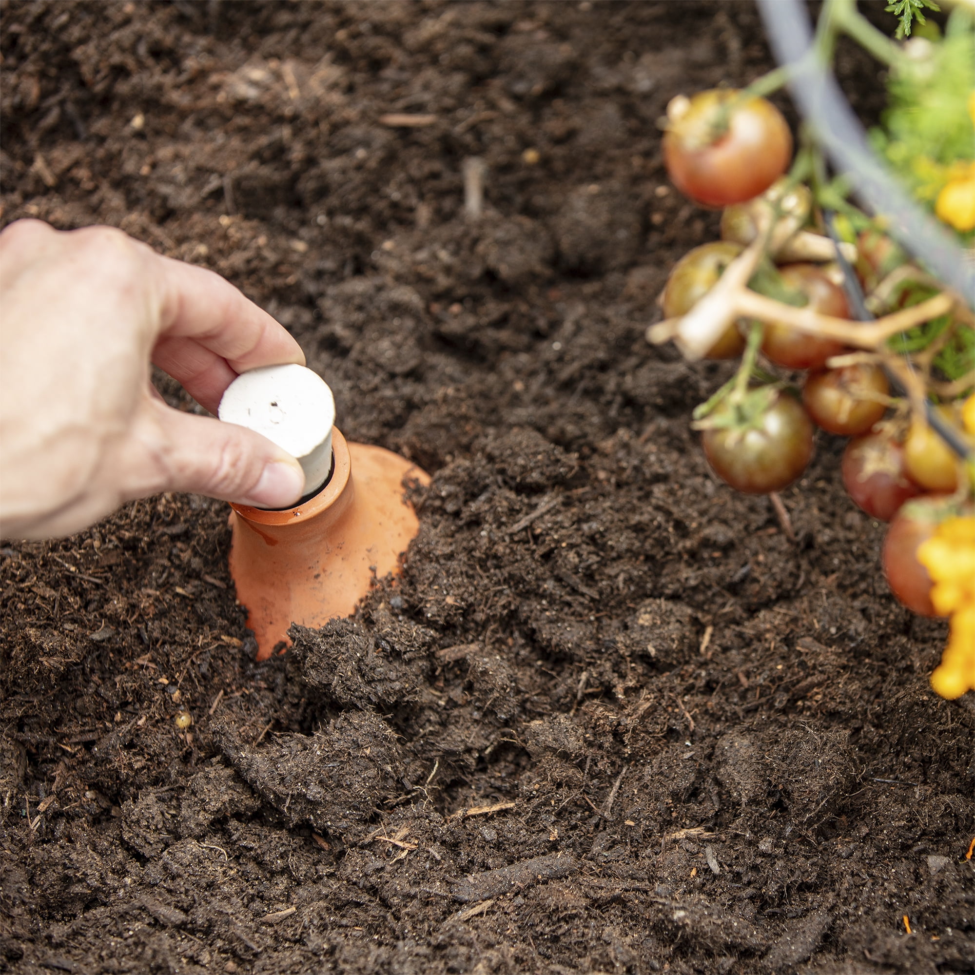 Back to the Roots Self-Watering Terracotta Olla Pot