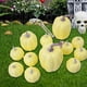 thumbnail image 3 of 12 calabazas de espuma artificiales, calabazas decorativas de simulación. Amarillo, 3 of 6