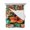 Multicolor, variant on Burnt Orange Flower Queen Size Down Alternative Comforter, Lightweight Comforter Quilt Bedding Set with Pillow Shams Vintage Botanical Floral All Seasons Bed Comforter Duvet Insert 90"x96"