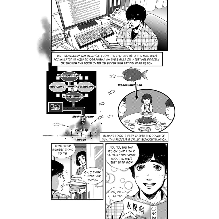 The Minamata Story: An Ecotragedy, (Paperback) - Walmart.com