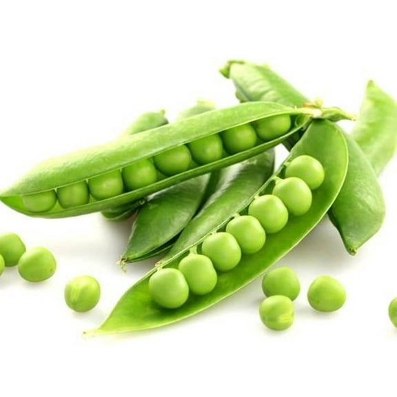 Lincoln Shell Pea Seeds/Annual/Full Sun/40 Seeds 1/4 oz/Zellajake Farm and Garden - C12