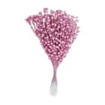 thumbnail image 2 of Tallos Artificiales, Bayas, Plantas de Simulación DIY para Decoración, Mesa de Cena , rosado Fernando tallo de baya feke, 2 of 7
