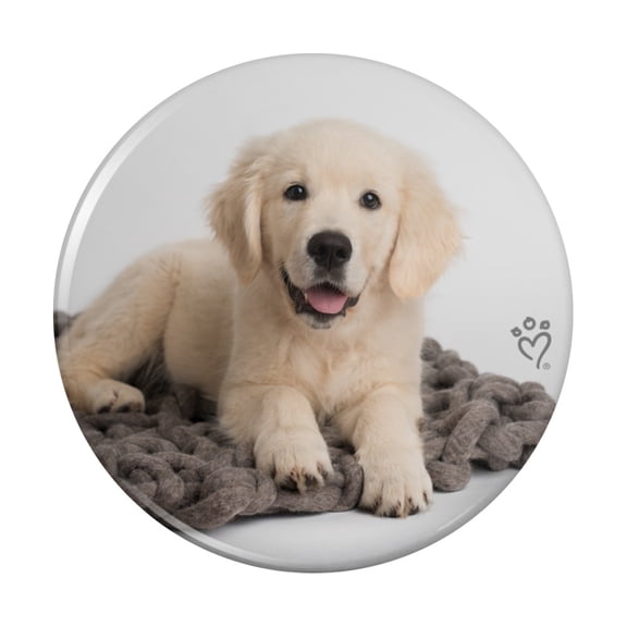 Golden Retriever Puppy Dog Knotty Blanket Pinback Button Pin