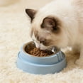 thumbnail image 5 of Blue Elevated Stainless Steel Pet Bowl With Cat Face Design For Digestion And Neck Protection Small Medium Dogs Cats, 5 of 6