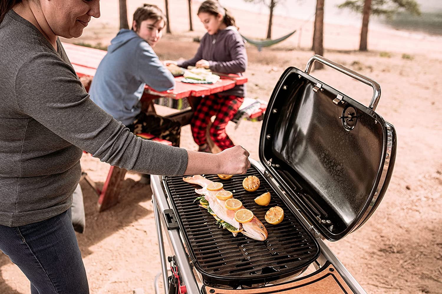 The Weber Traveler Portable Gas Grill, Stealth Cyprus | Ubuy
