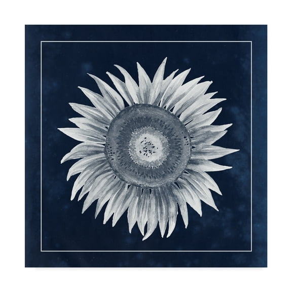 Trademark Fine Art 'Moon Flower I' Canvas Art by Grace Popp
