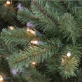 thumbnail image 2 of CC Christmas Decor Pre-lit Artificial Berkshire Fir Medium Christmas Tree - 12’ - Clear Lights, 2 of 5
