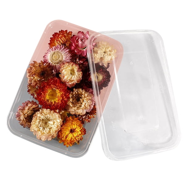 Material de flores secas para bricolaje Flores y hojas secas prensadas reales para manualidades C Ehuebsd Libre de BPA