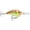 Girlfriend, variant on Rapala DT 16 Crankbait Bleeding Olive Shiner