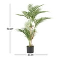 thumbnail image 4 of Christopher Knight Home Troup Artificial Tabletop Palm Tree by  41"x66.5", 4 of 5