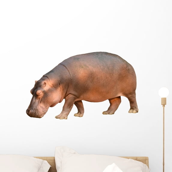Hippopotamus Wall Mural Decal by Wallmonkeys Vinyl Peel and Stick Graphic (24 in W x 16 in H)