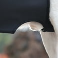 thumbnail image 5 of Dog Lift Harness for Large Dogs Sling for Whole Body Dog Legs Support Carriers Harness for Elderly Injured Disabled Dogs, 5 of 15