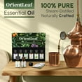 thumbnail image 4 of OrientLeaf Essential Oils Sets, 100% Pure Essential Oil for Diffuser, Aromatherapy, Sleep, Massage & DIY, Gift Sets for Women with Greeting Card, 4 of 10