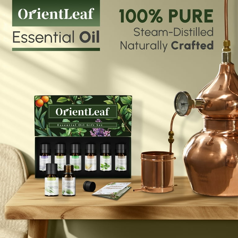 OrientLeaf Essential Oils Set 6Pcs 10ml with Greeting Card, Peppermint,  Lavender, Eucalyptus, Lemongrass, Tea Tree & Orange, Aromatherapy Essential