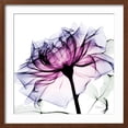 thumbnail image 2 of Art.com Leni Rose 1 Art Print by Albert Koetsier, Brown Frame Wall Art, 21" x 21", 2 of 5