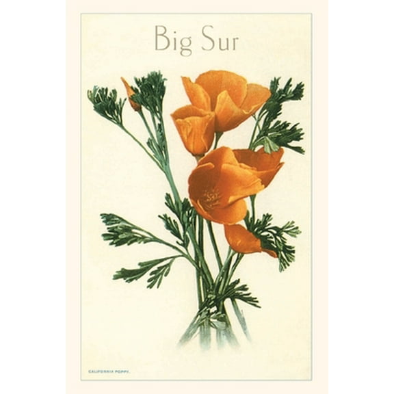 Pocket Sized - Found Image Press Journals: The Vintage Journal California Poppy, Big Sur (Paperback)
