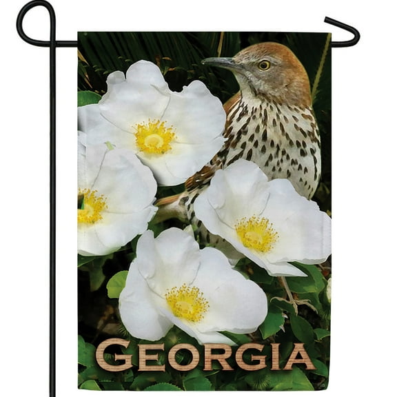 America Forever Georgia State Garden Flag- 12.5 x 18 inches - Georgia Cherokee Rose USA Regional Yard Outdoor Decorative Double Sided Flag