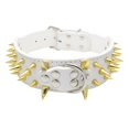 thumbnail image 2 of Collar de perro mascota arnés ajustable tachonado cuero de imitación punk remache collar de perro pu puntas afiladas suministros para perros, XS Colco collar de cachorro, 2 of 4