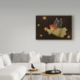 thumbnail image 3 of Trademark Fine Art 'Catching A Star' Canvas Art by Beverly Johnston, 3 of 3