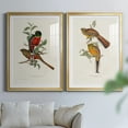 thumbnail image 6 of Wexford Home Elegant Trogons I Premium Framed Print, 30.5" x 42.5" - Ready to Hang, Gold (Set of 2), 6 of 9
