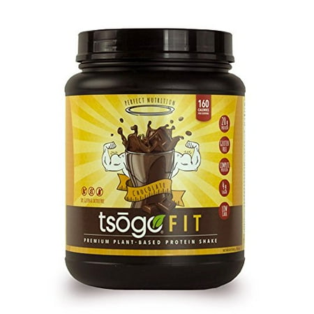 Tsogo Fit poudre de protéine w / 20 grammes de plante à base de protéines / portion, saveur de chocolat riche, de soja, sans gluten et sans produits laitiers, riches en fibres, faible teneur en glucides, 160 calories / portion (1 bain, 20 portions, 29,6 o