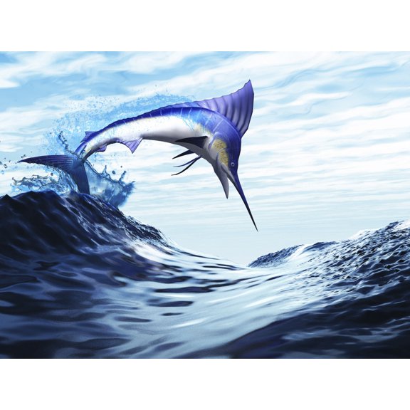 A beautiful blue marlin bursts through a wave in a spectacular jump Canvas Art - Corey FordStocktrek Images (33 x 25)