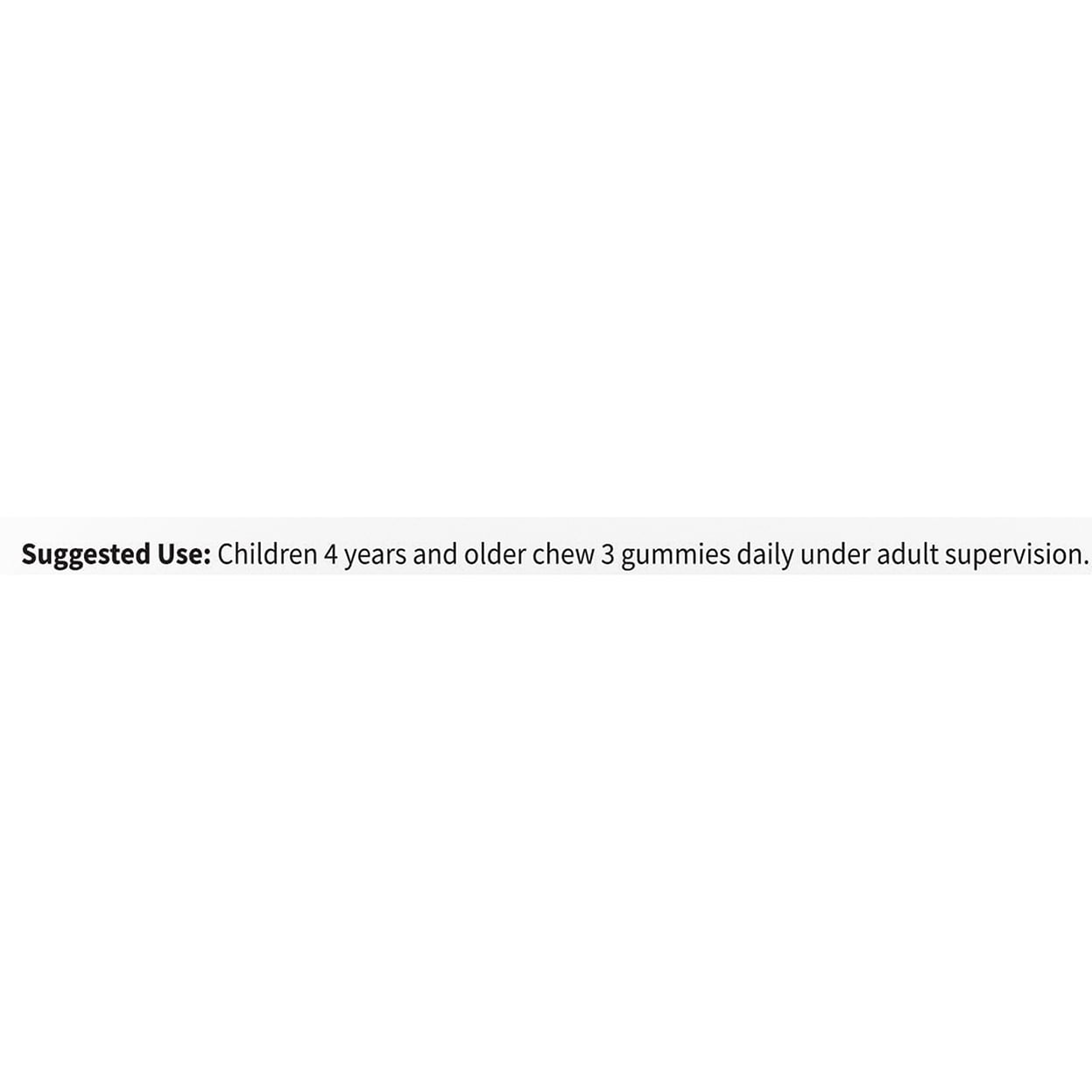 Garden of Life Vitamin Code Gummies Kids Multi with Iron, Orange Flavor, 30 Servings